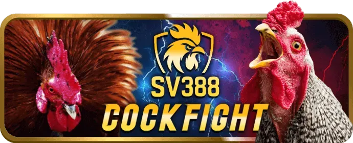 Câu hỏi thường gặp về vvvwin nhà cái
